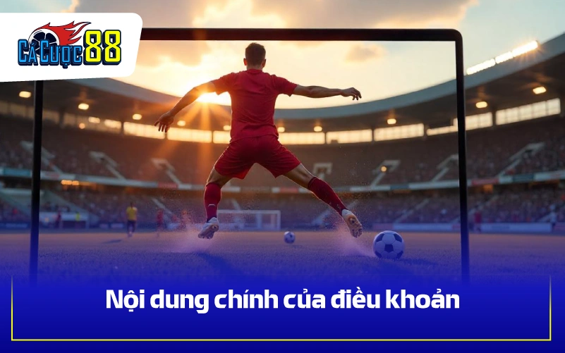 Nội dung chính của điều khoản